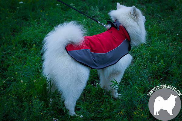 Bright Wind Proof Nylon Samoyed Harness with Stand Up Collar