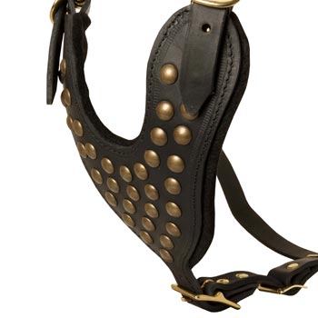 Studded Black Leather CHest Plate for Samoyed Comfort