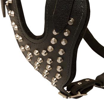 Studded Chest Plate Leather Samoyed Harness