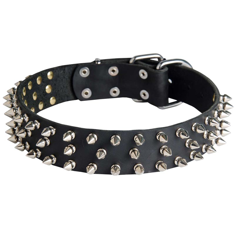 Leather Samoyed Collar with 3 Rows of Nickel Spikes [S44##1115 3 Rows ...