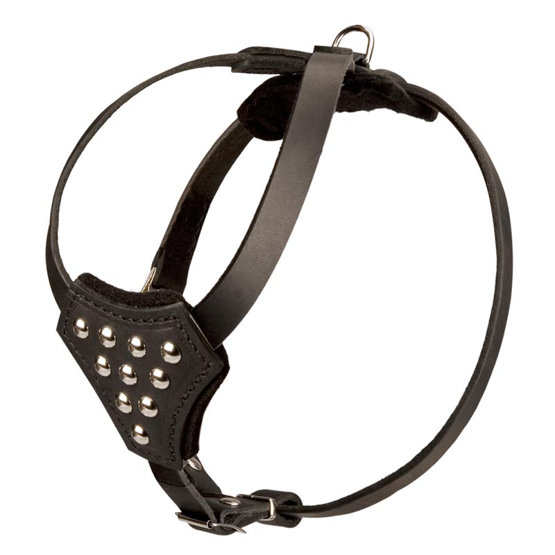 Muzzle collar outlet harness