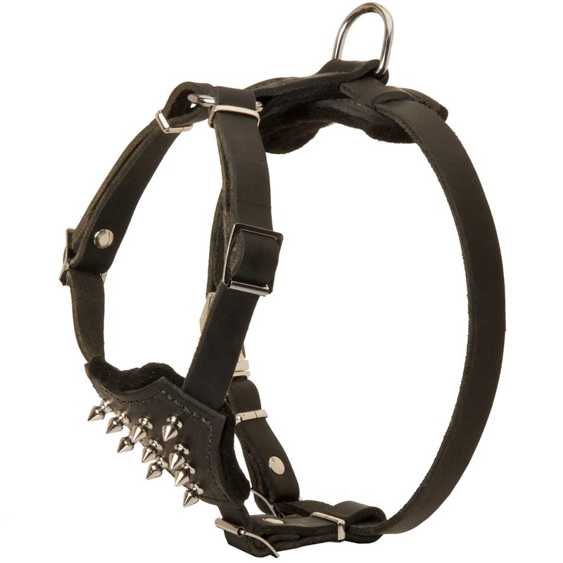 Muzzle hotsell collar harness