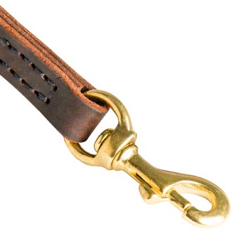 Samoyed Leather Leash with Brass Hardware