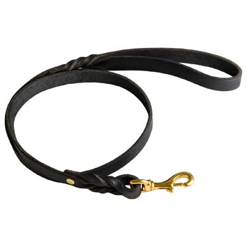 Best Training Samoyed Leash with Braided Details on Opposite Sides