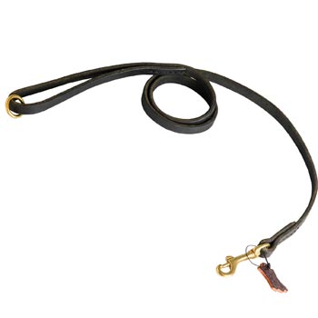 Strong Leather Samoyed Leash for Popular Dog Activities