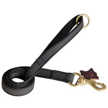 Nylon Leash for Samoyed Training will Help to Achieve Great Results