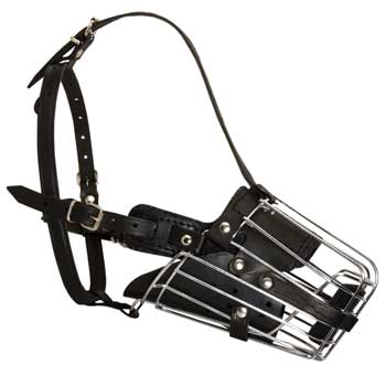 Adjustable Well-Fitting Cage Dog Muzzle for Samoyed