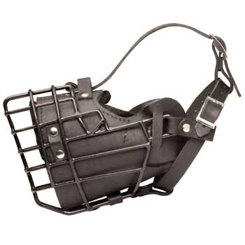 Leather Samoyed Muzzle Padded Metal Basket