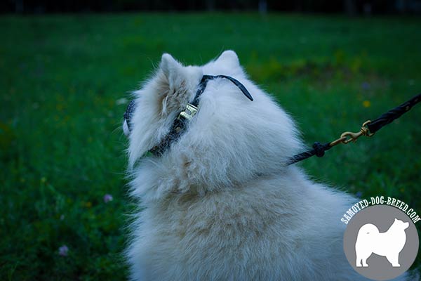 Top Quality Leather Samoyed Muzzle with Durable Straps