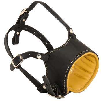 Adjustable Samoyed Muzzle Padded with Soft Nappa Leather for Anti-Barking Training